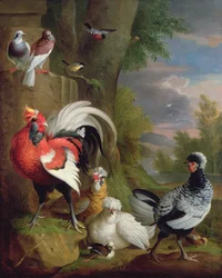 Uccelli esotici in un paesaggio